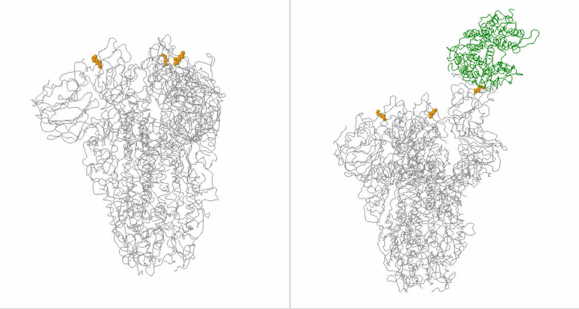 CoVariants